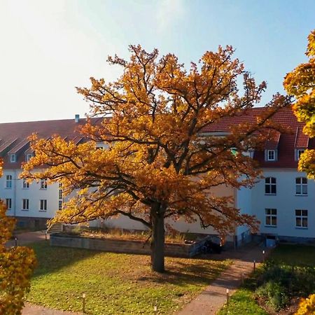 Parkresidenz Lychen, Ferienwohnung 8 エクステリア 写真