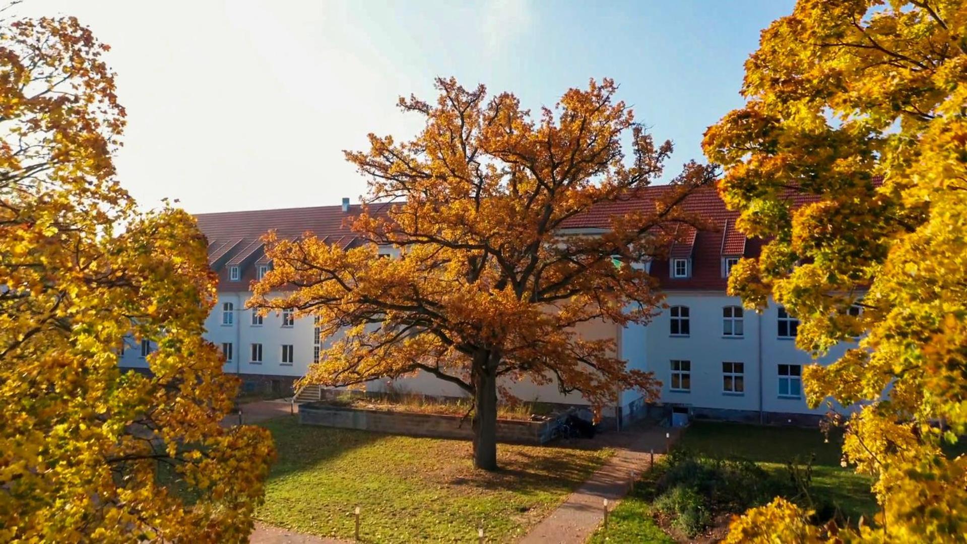 Parkresidenz Lychen, Ferienwohnung 8 エクステリア 写真