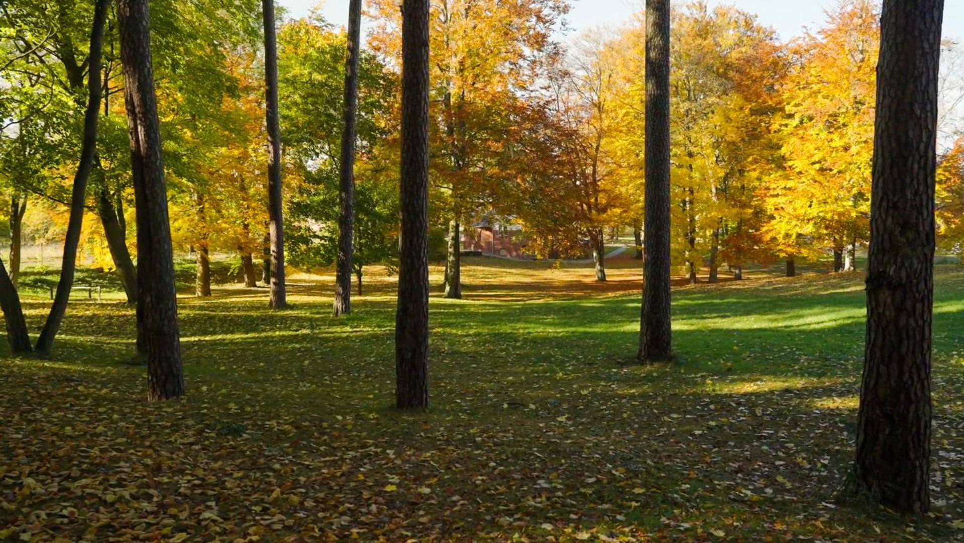 Parkresidenz Lychen, Ferienwohnung 8 エクステリア 写真